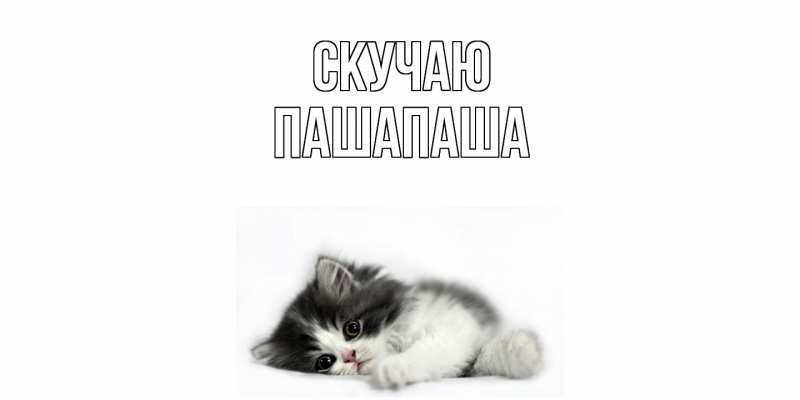 Картинка Скучаю, Пашапаша
