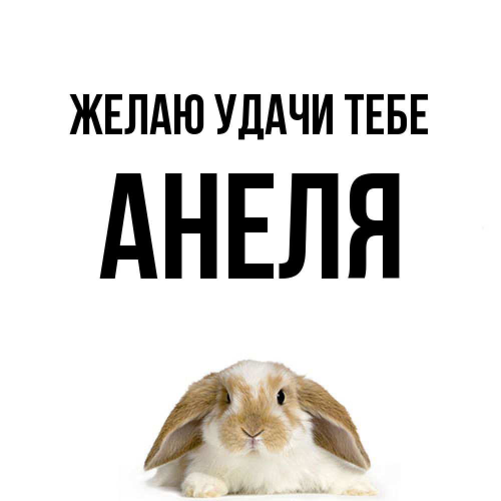 Открытка  с именем. Анеля, Желаю удачи тебе  