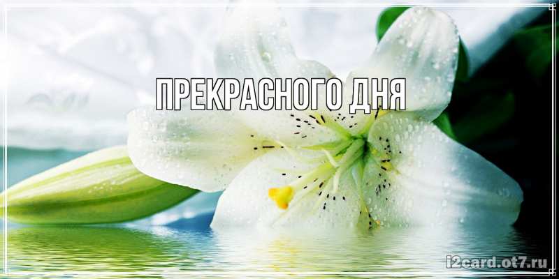 Картинка Прекрасного дня, 