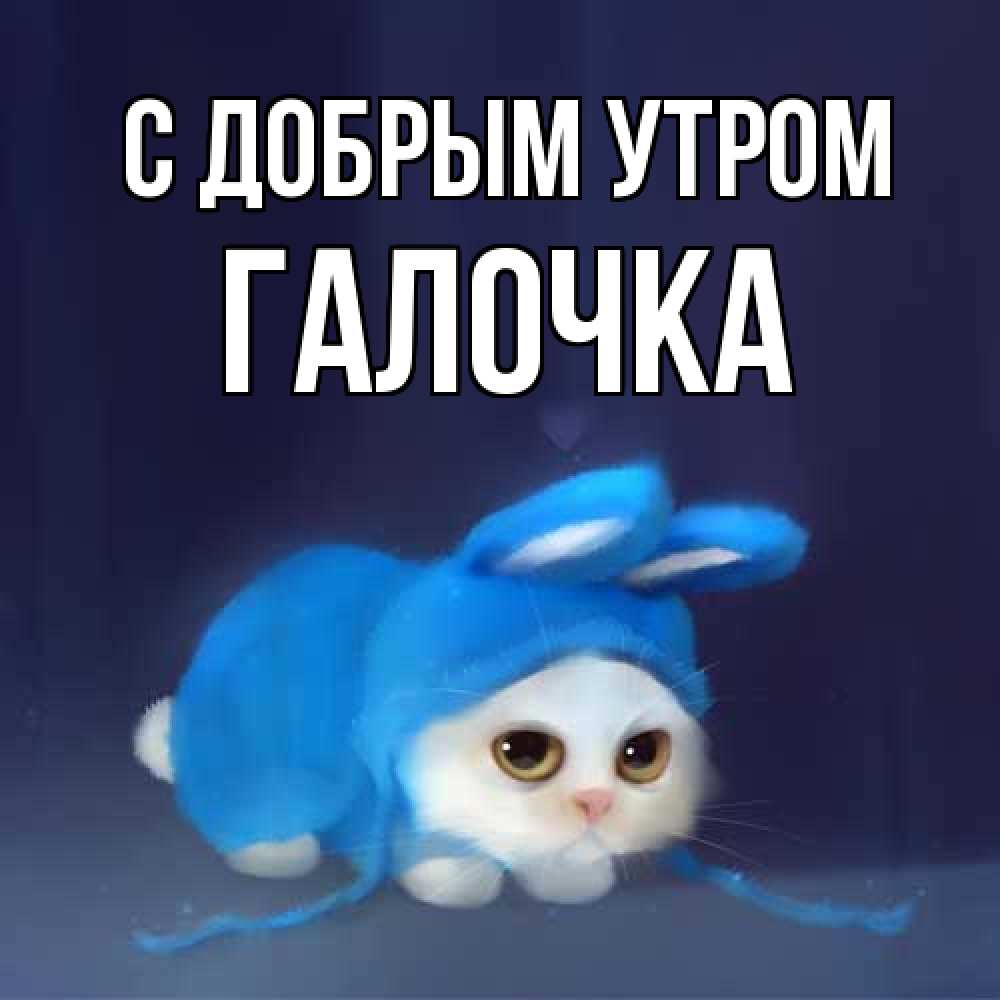 Открытка  с именем. Галочка, С добрым утром  