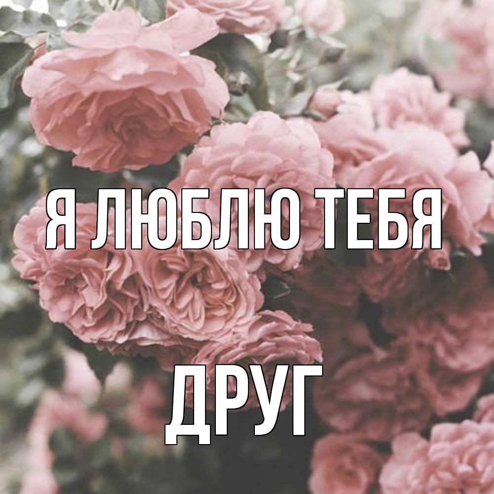 Открытка  с именем. ДРУГ, Я люблю тебя  