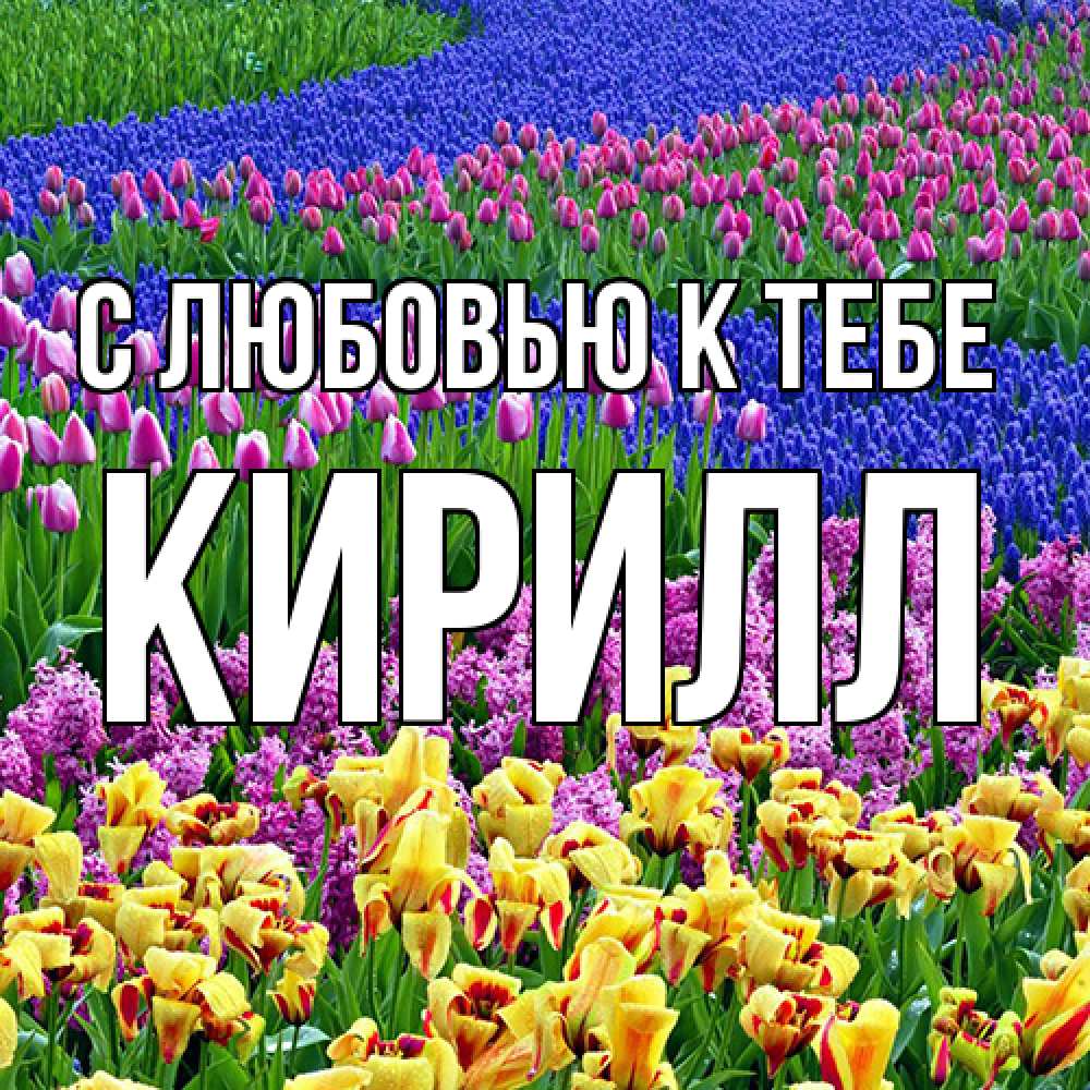 Открытка  с именем. Кирилл, С любовью к тебе  