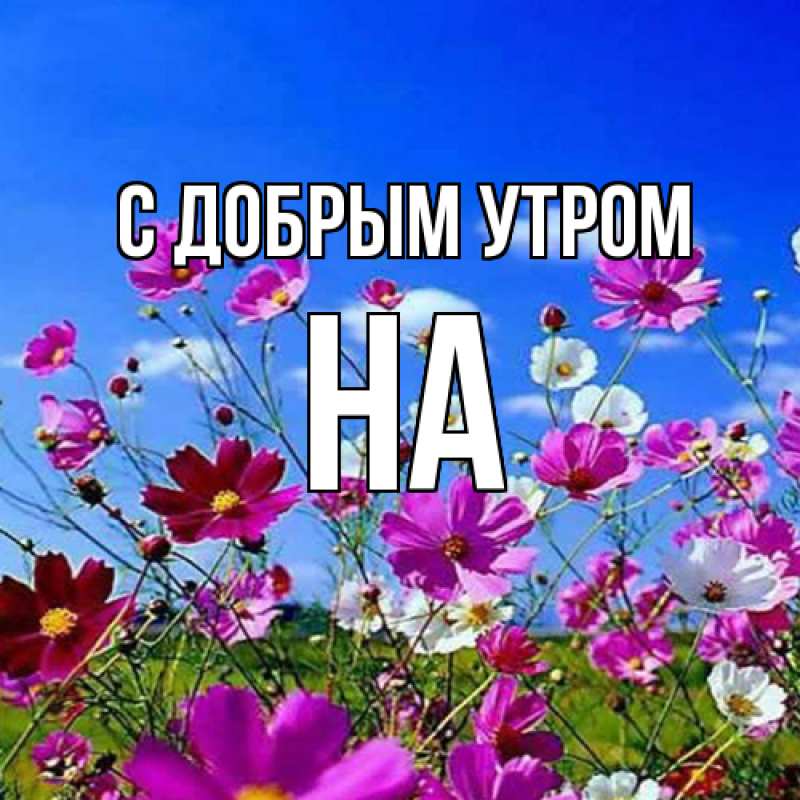 Картинка С добрым утром, на