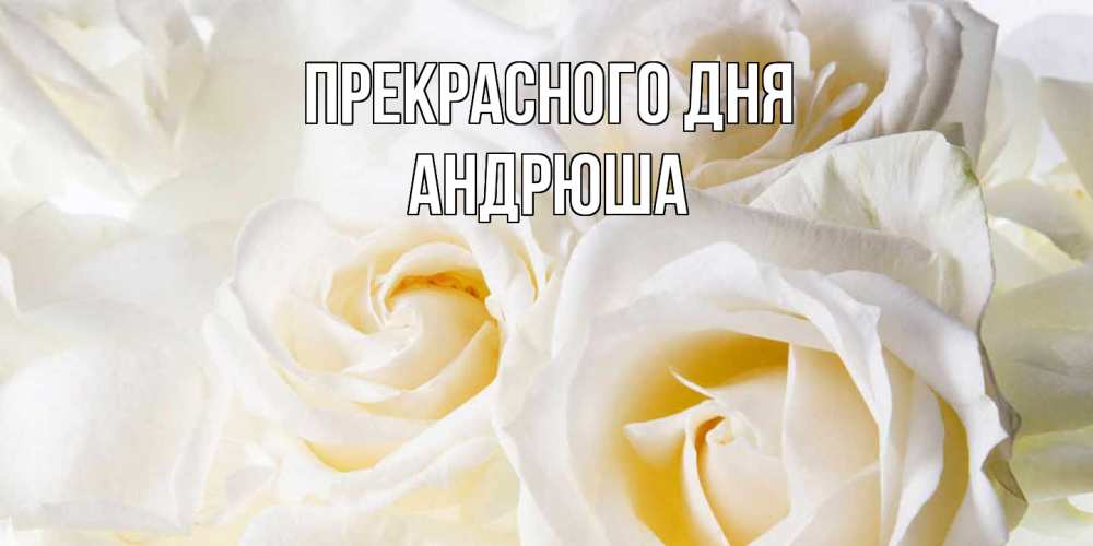 Открытка  с именем. Андрюша, Прекрасного дня  