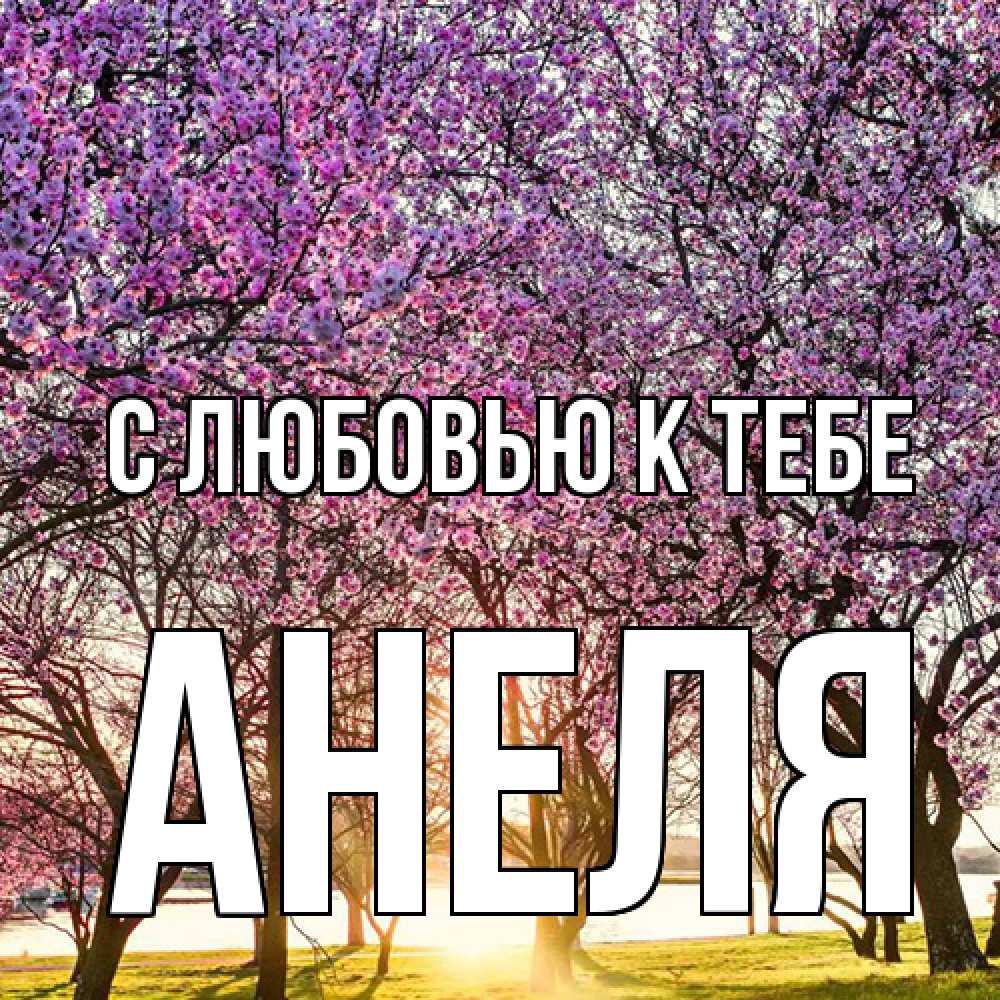 Открытка  с именем. Анеля, С любовью к тебе  