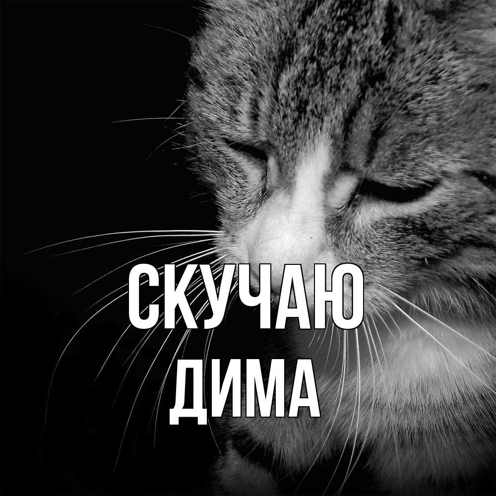 Открытка  с именем. Дима, Скучаю  