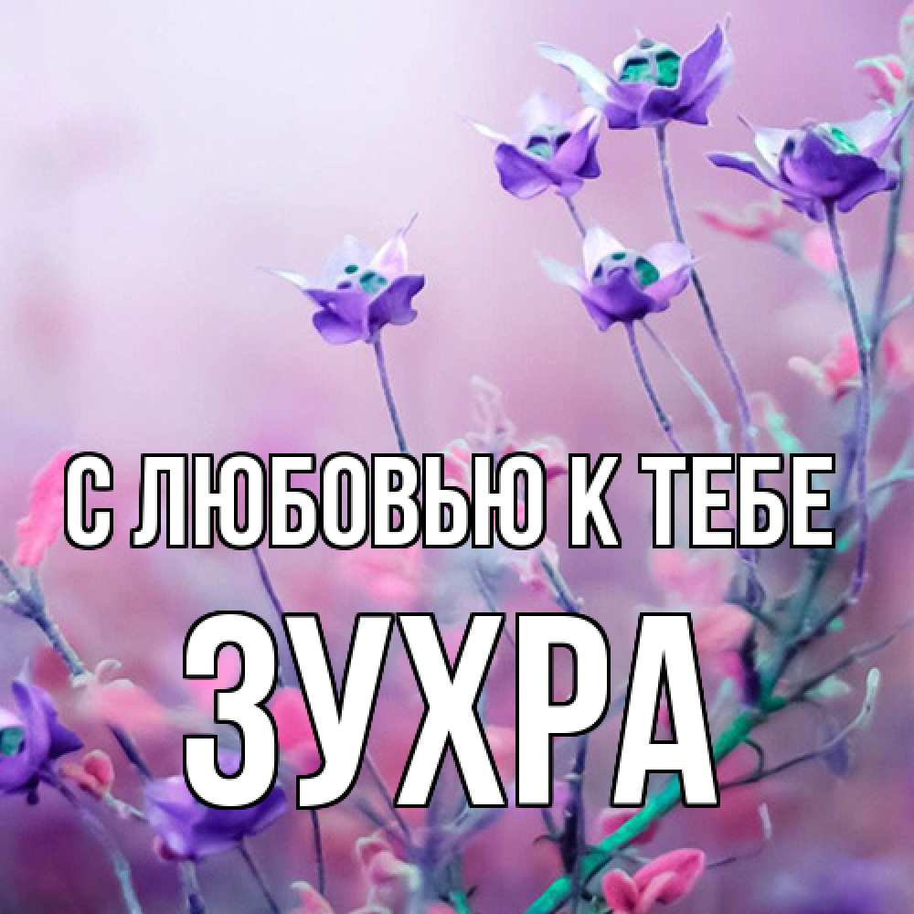 Открытка  с именем. Зухра, С любовью к тебе  