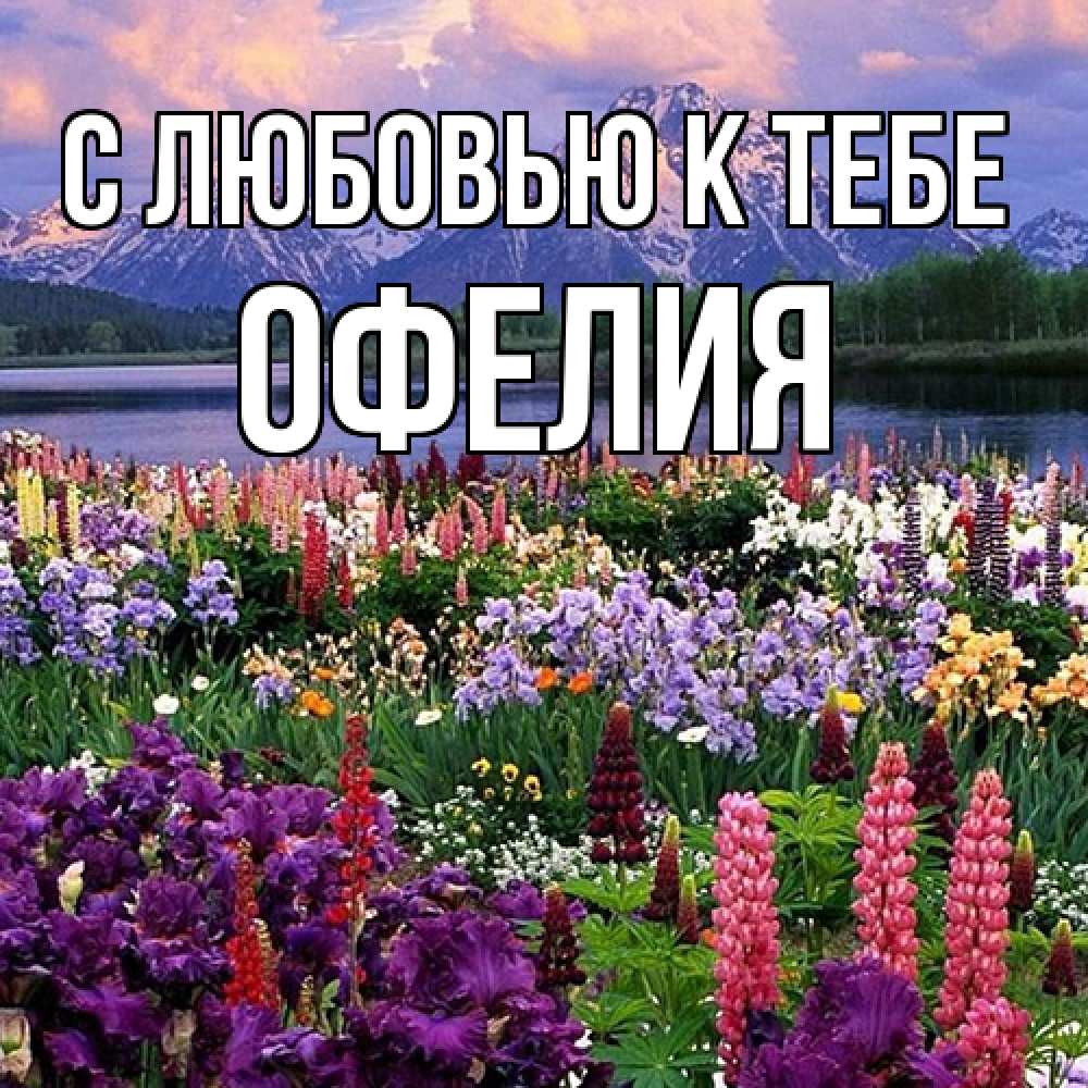 Открытка  с именем. Офелия, С любовью к тебе  