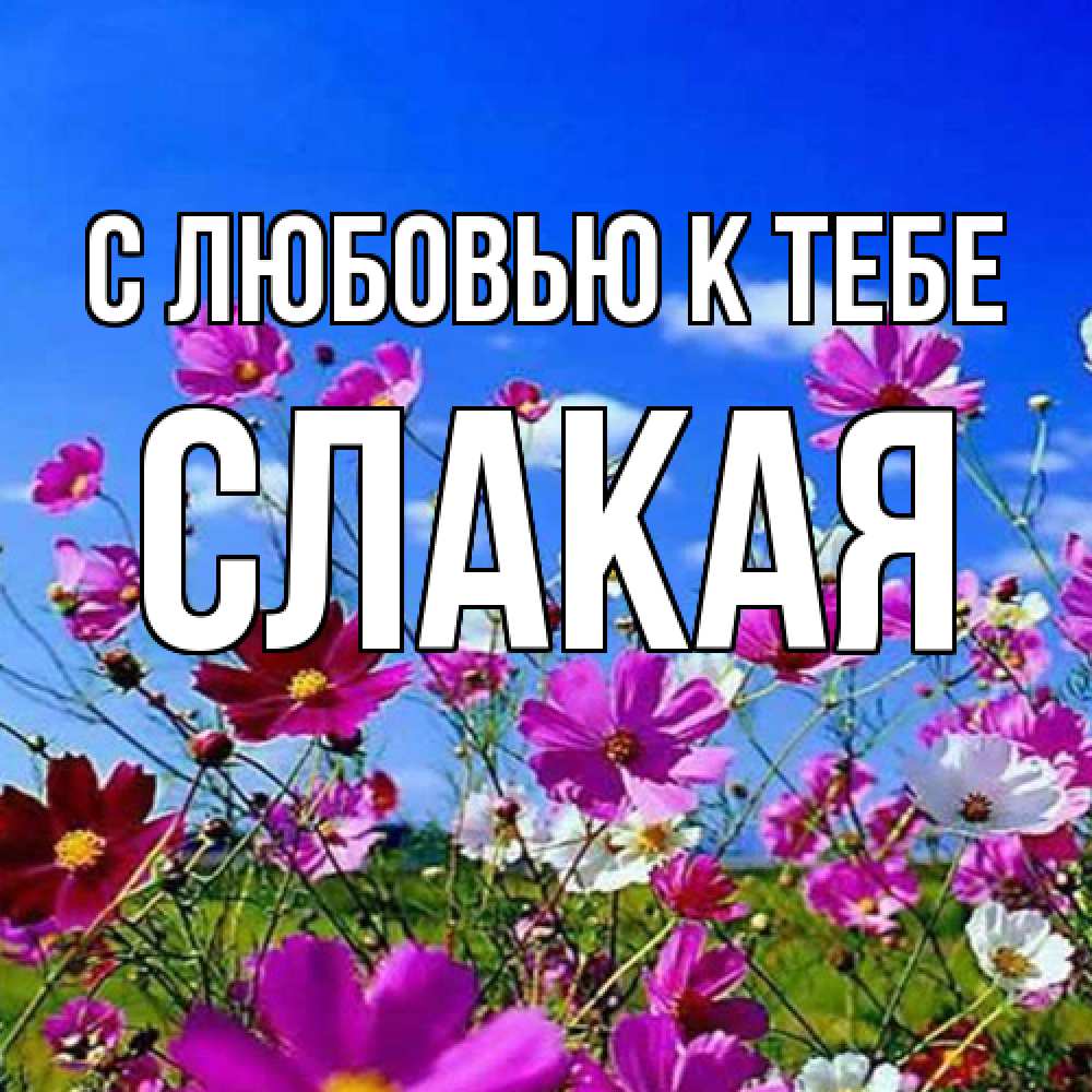 Открытка  с именем. Слакая, С любовью к тебе  