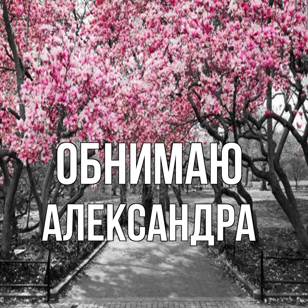 Открытка  с именем. Александра, Обнимаю  