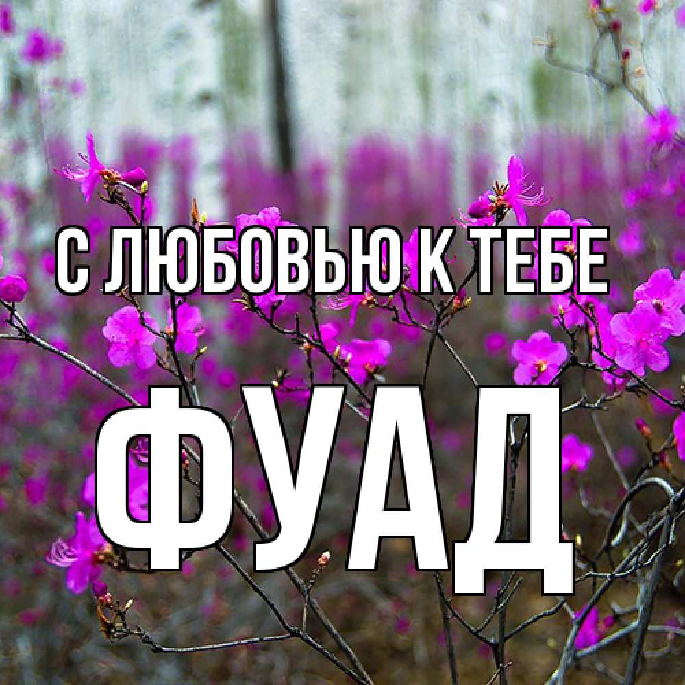 Открытка  с именем. Фуад, С любовью к тебе  