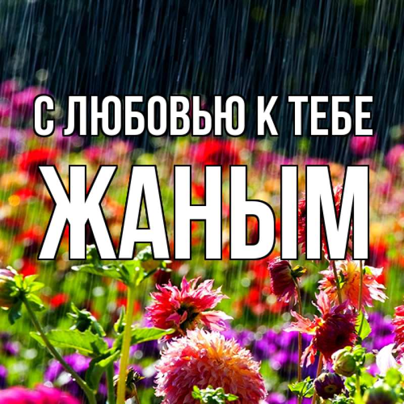 Картинка С любовью к тебе, Жаным