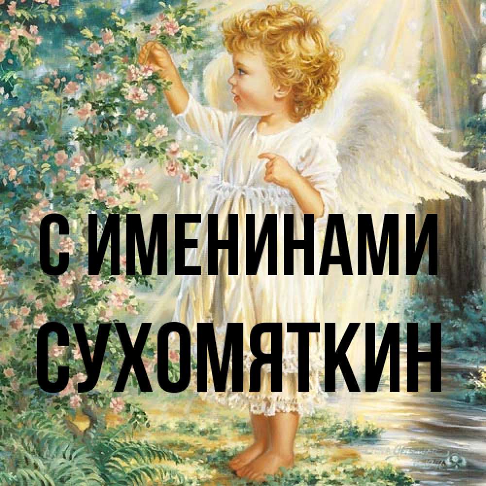 Открытка  с именем. Сухомяткин, С именинами  