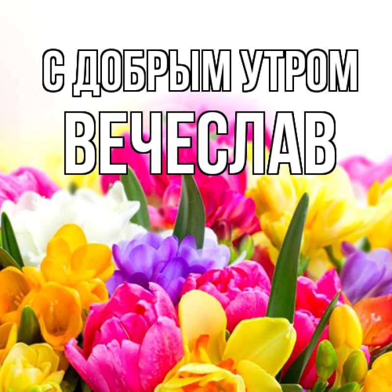 Картинка С добрым утром, Вечеслав