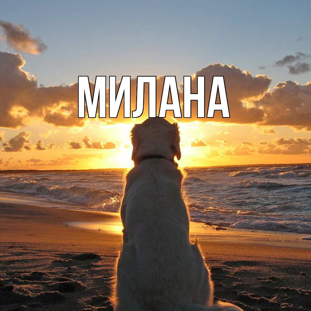 Открытка  с именем. Милана, Главная  