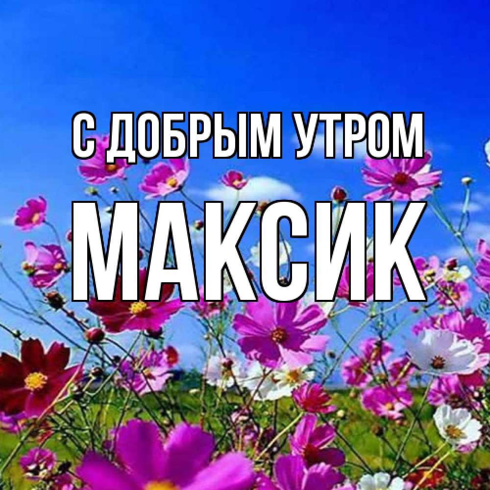 Открытка  с именем. Максик, С добрым утром  