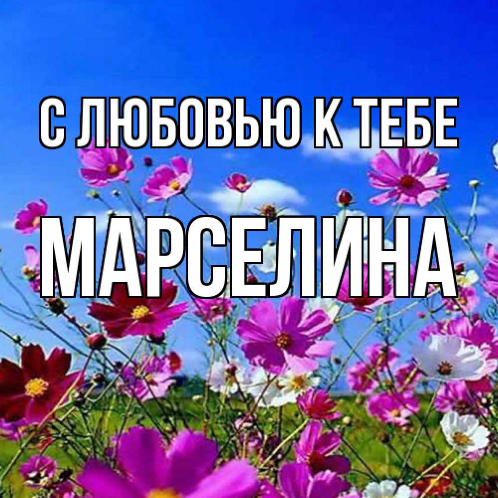 Открытка  с именем. Марселина, С любовью к тебе  