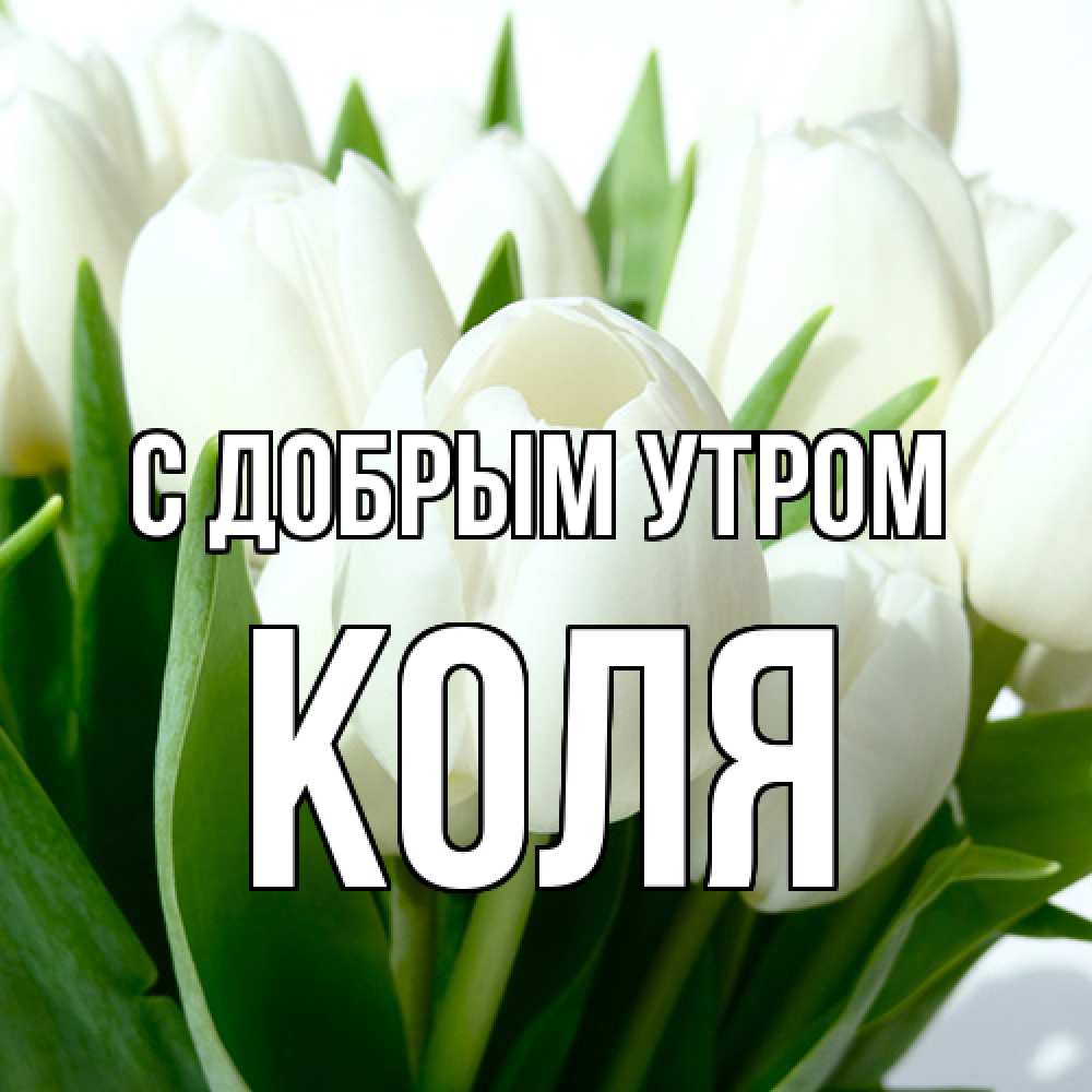 Открытка  с именем. Коля, С добрым утром  