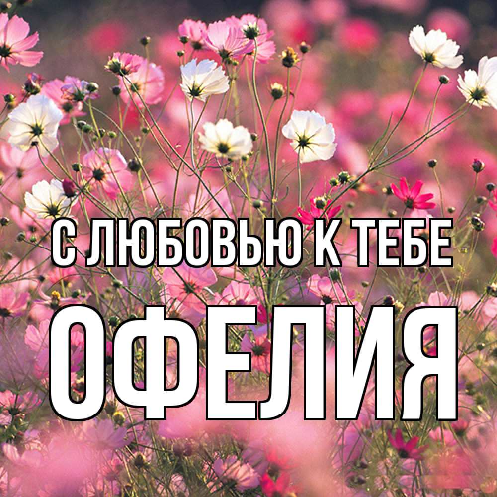 Открытка  с именем. Офелия, С любовью к тебе  