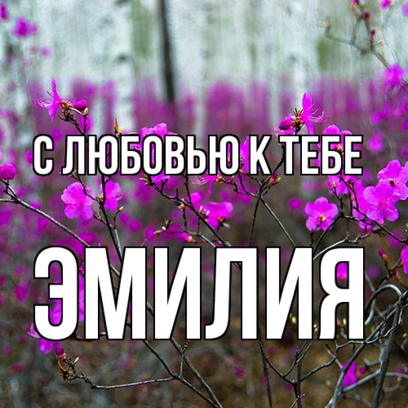 Картинка С любовью к тебе, Эмилия