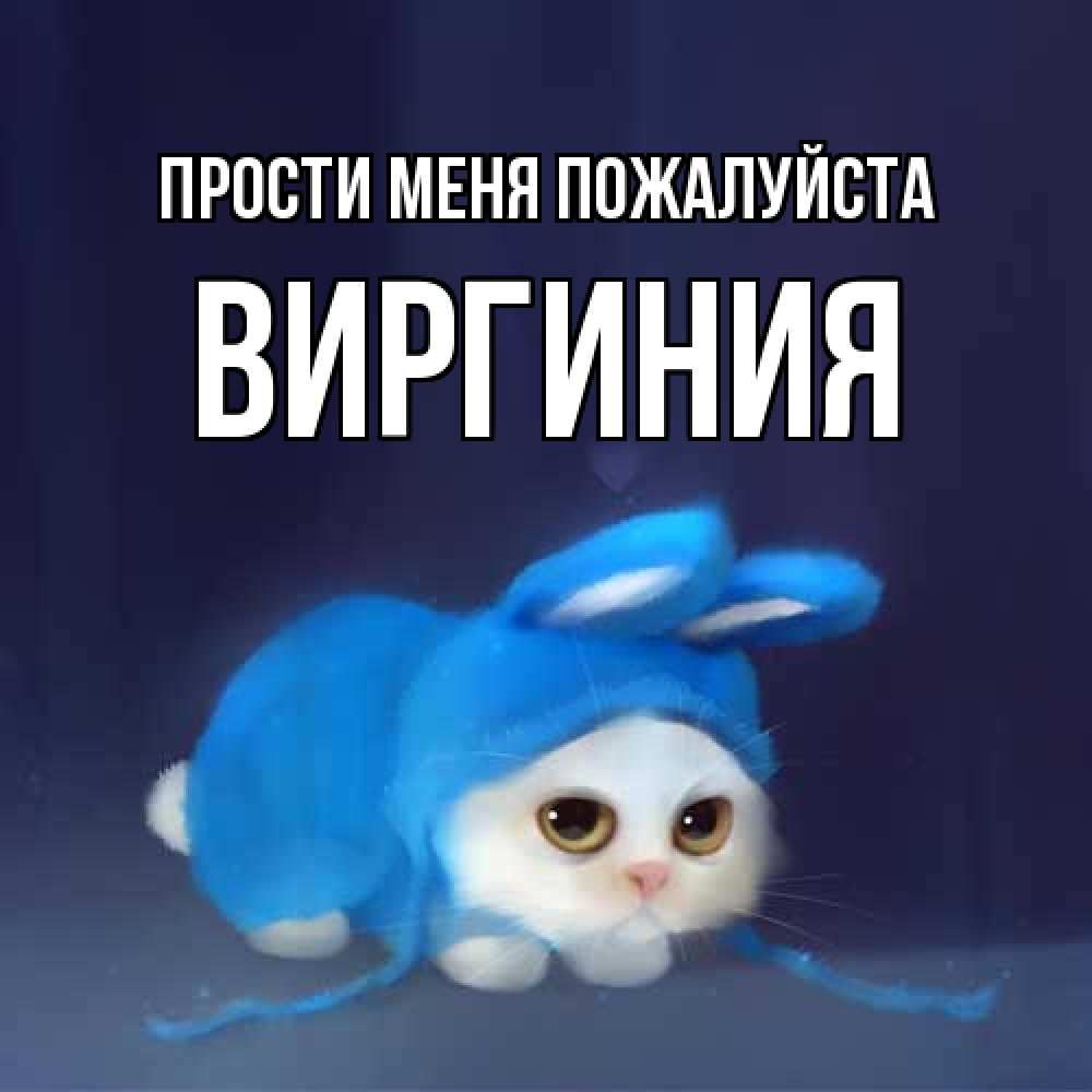 Открытка  с именем. Виргиния, Прости меня пожалуйста  