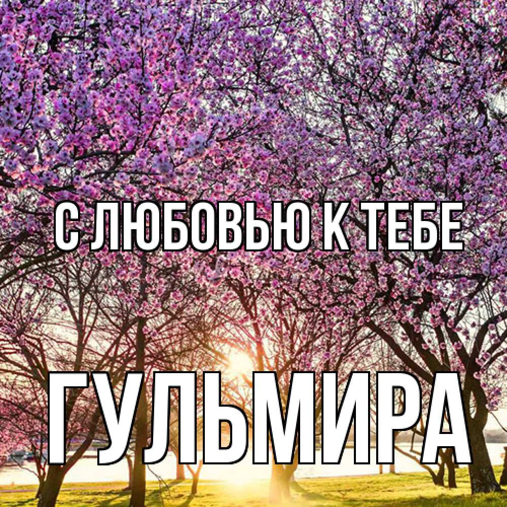 Открытка  с именем. Гульмира, С любовью к тебе  