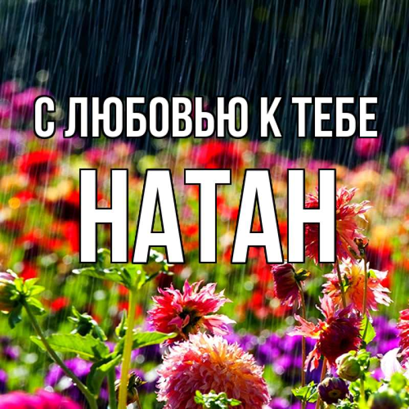 Картинка С любовью к тебе, Натан