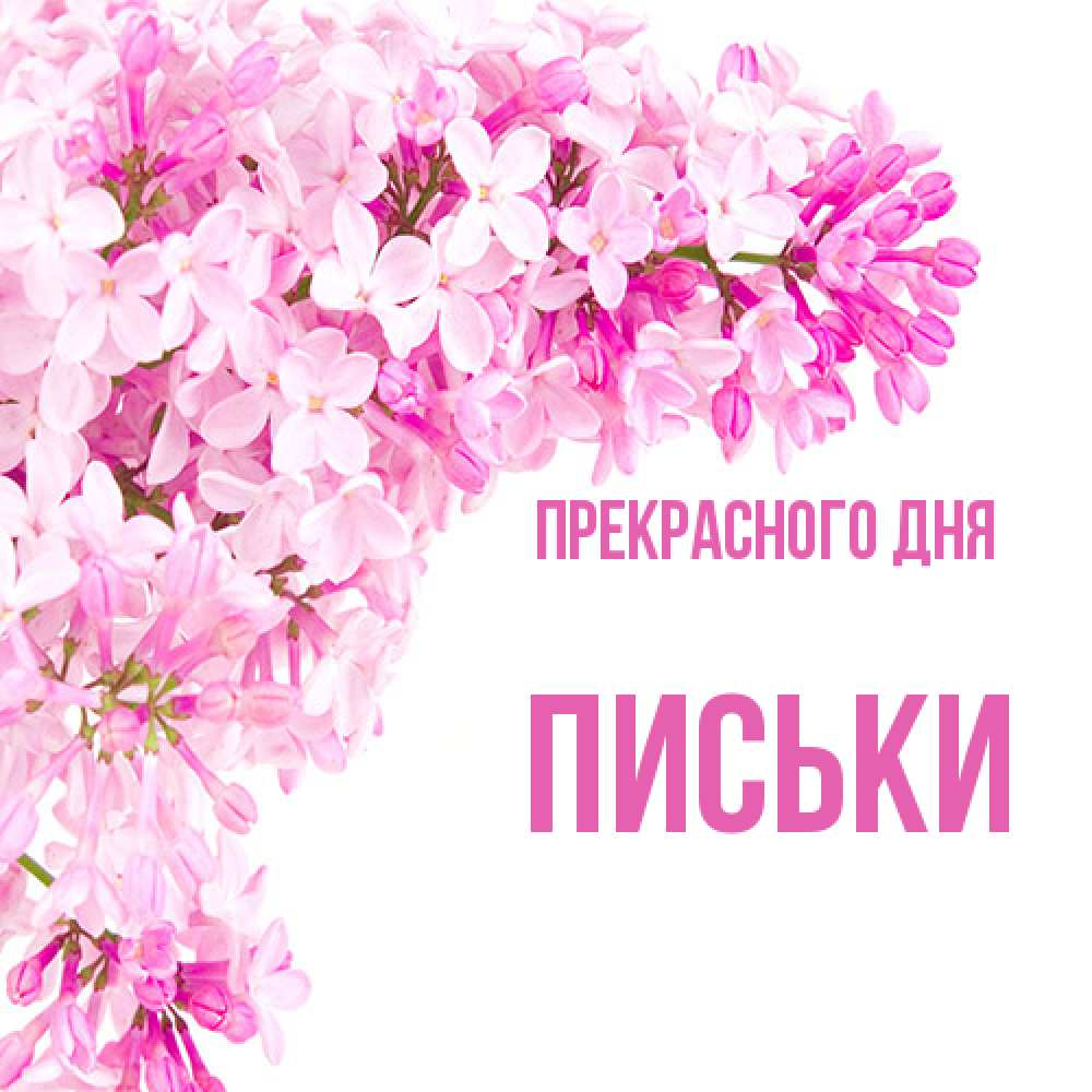 Открытка  с именем. Письки, Прекрасного дня  