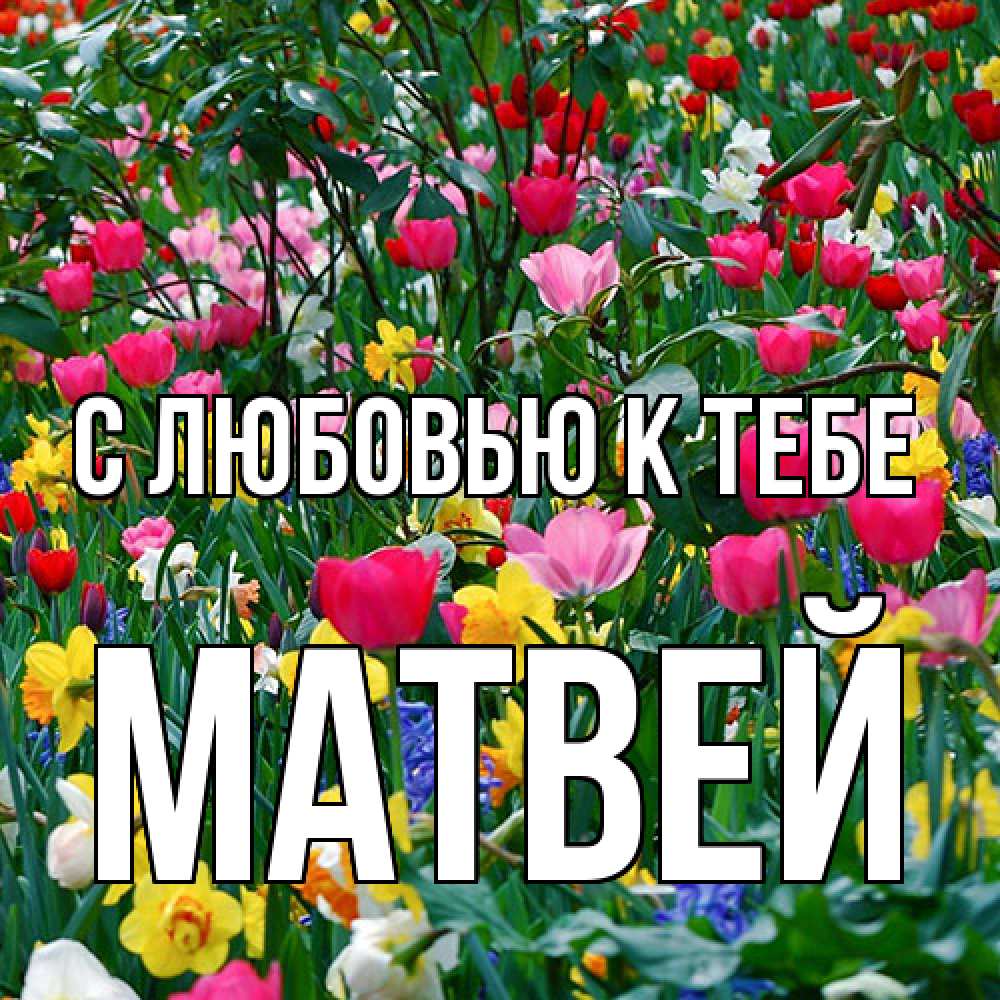 Открытка  с именем. Матвей, С любовью к тебе  