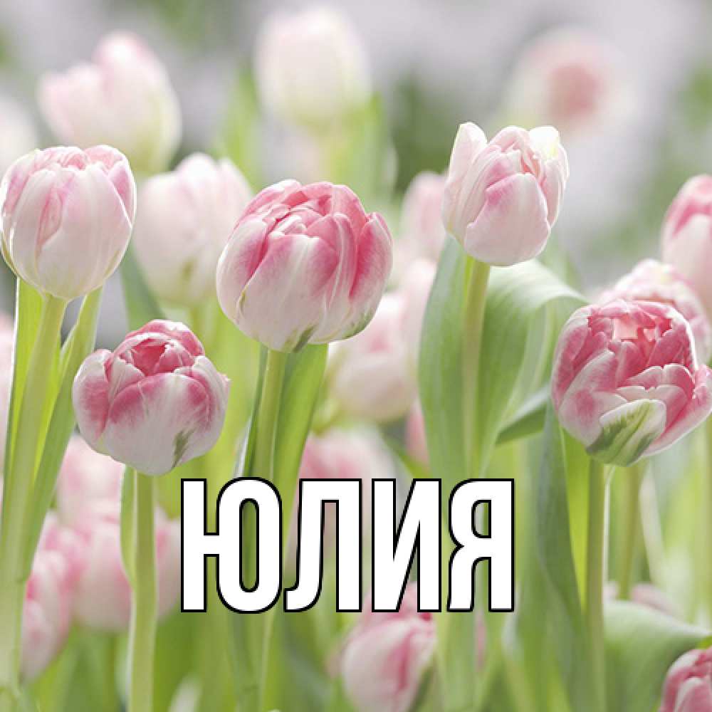 Открытка  с именем. Юлия, Главная  