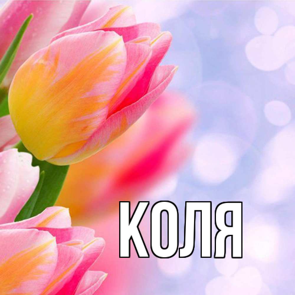 Открытка  с именем. коля, Главная  