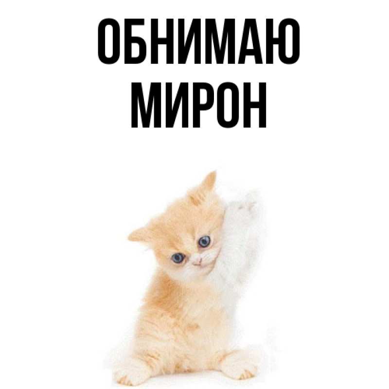 Картинка Обнимаю, Мирон