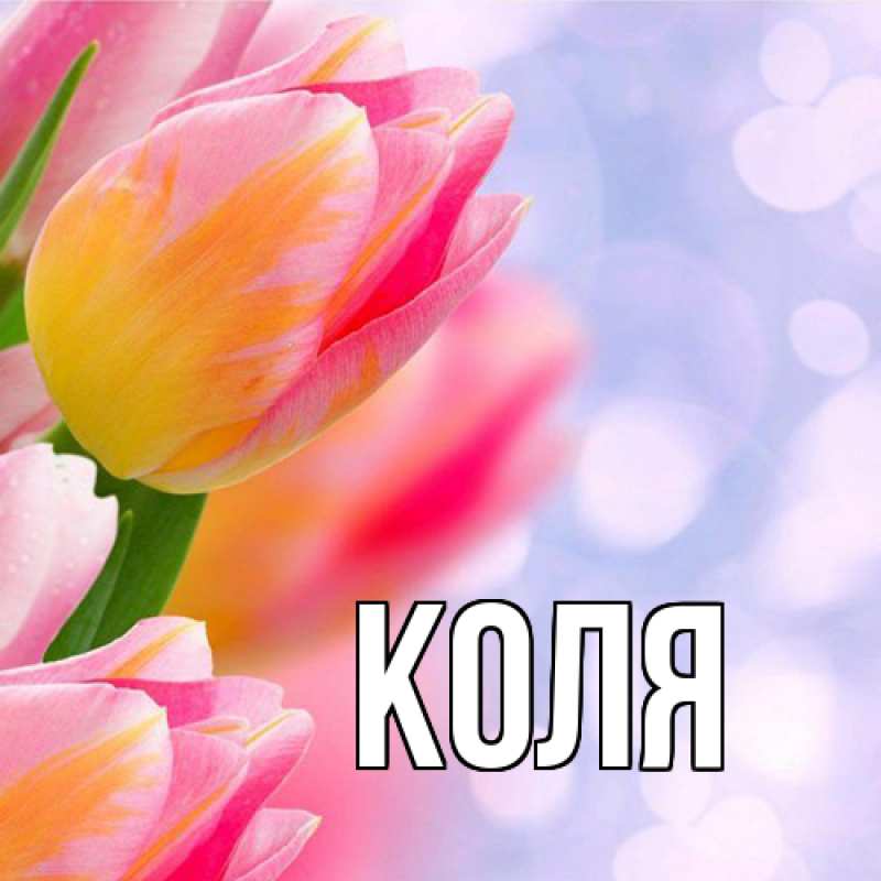 Картинка  с именем , коля