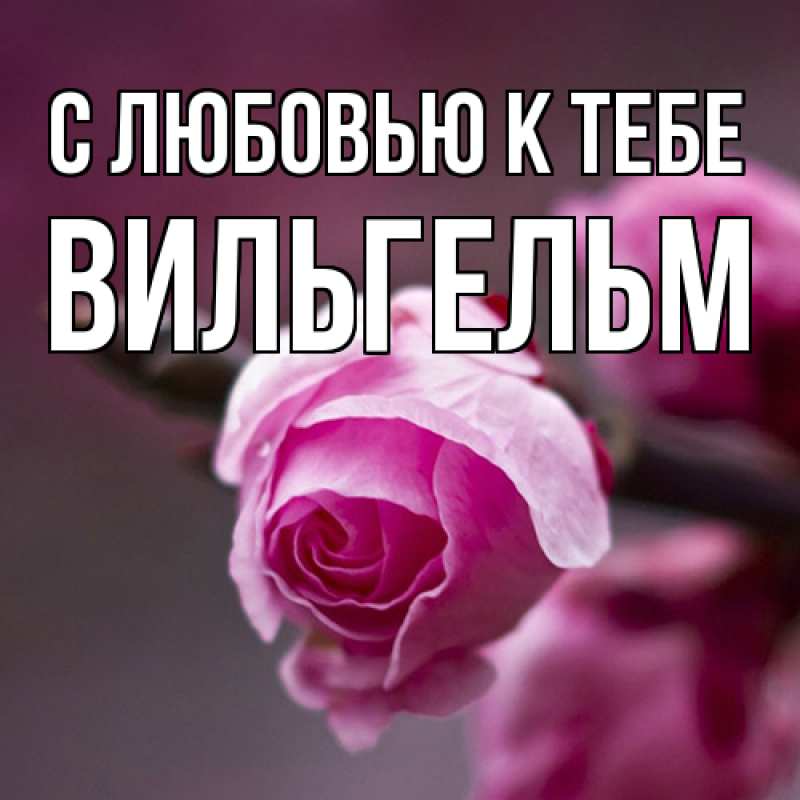 Картинка С любовью к тебе, Вильгельм