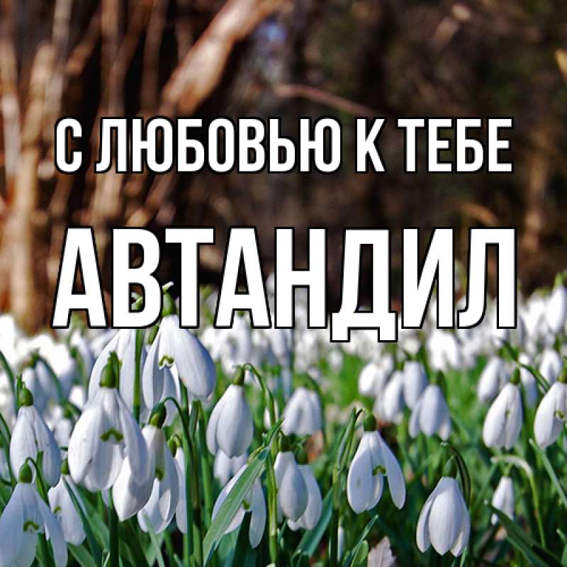 Картинка С любовью к тебе, Автандил