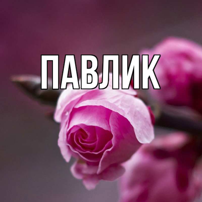 Картинка  с именем , Павлик