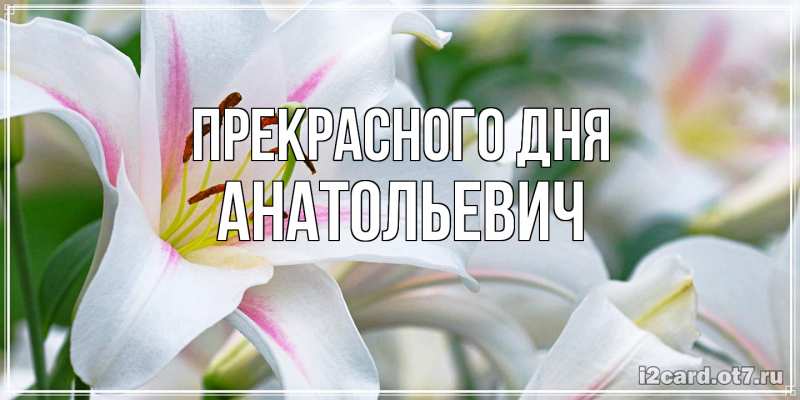 Картинка Прекрасного дня, Анатольевич