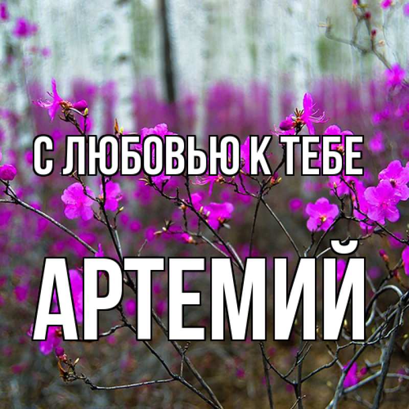 Картинка С любовью к тебе, Артемий