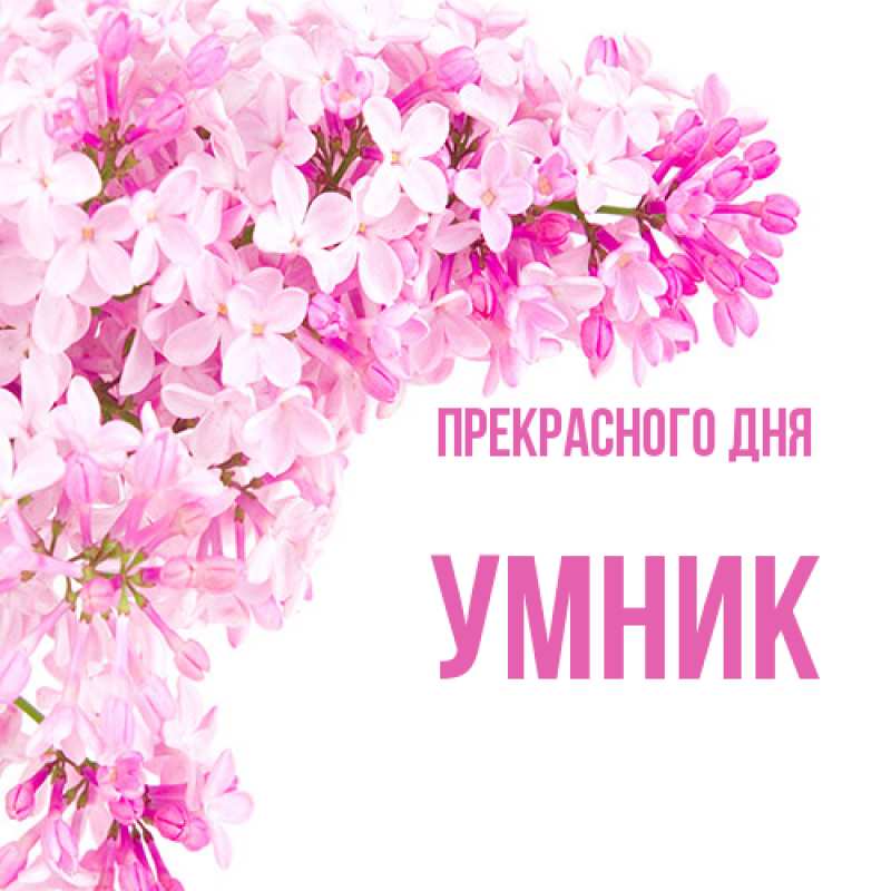 Картинка Прекрасного дня, Умник