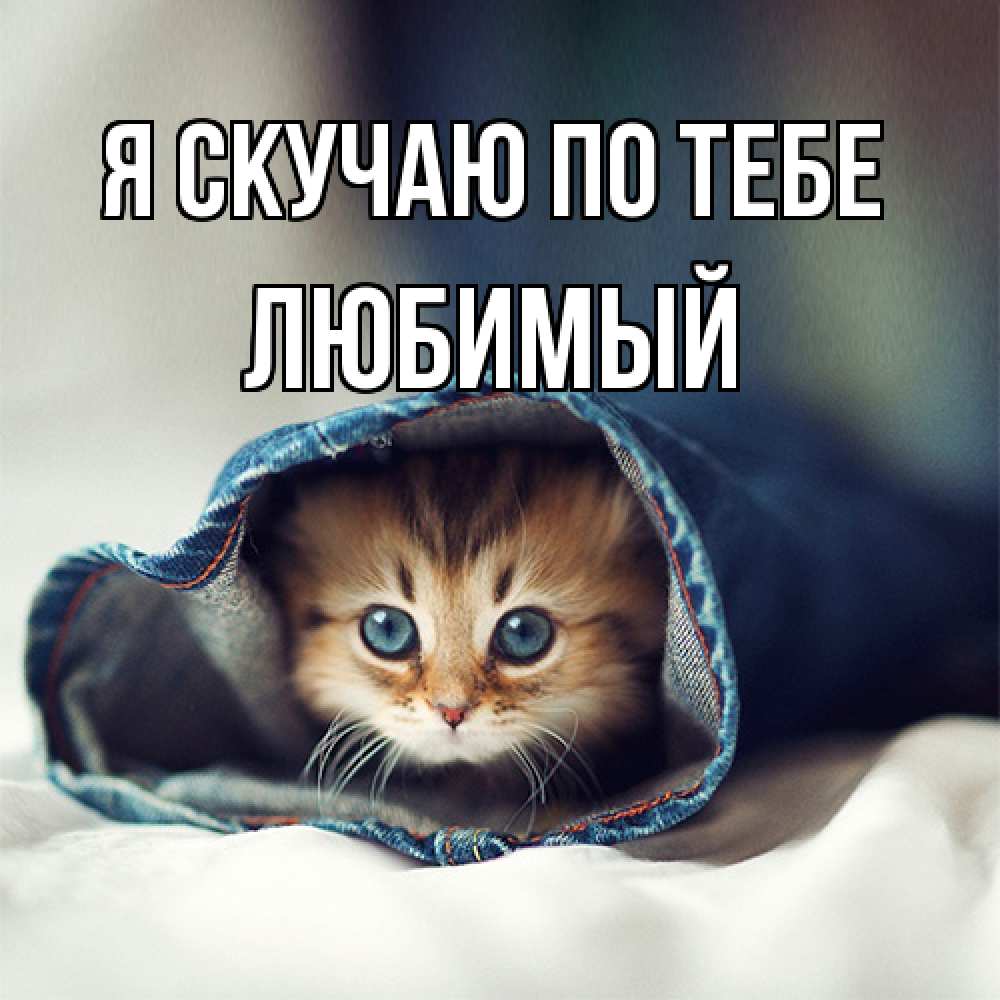 Открытка  с именем. Любимый, Я скучаю по тебе  