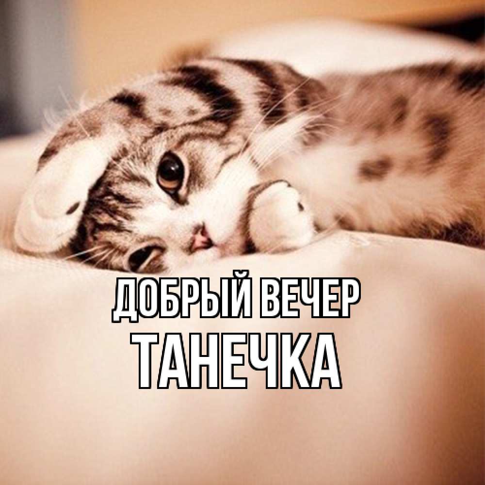 Открытка  с именем. Танечка, Добрый вечер  