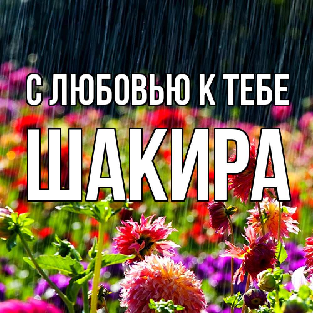 Открытка  с именем. Шакира, С любовью к тебе  