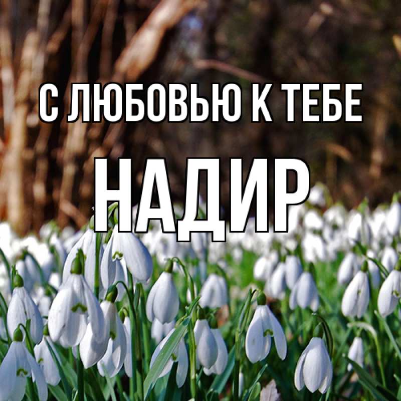 Картинка С любовью к тебе, Надир