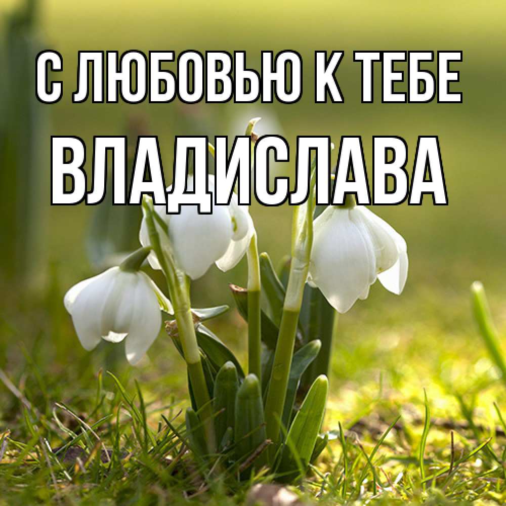 Открытка  с именем. Владислава, С любовью к тебе  