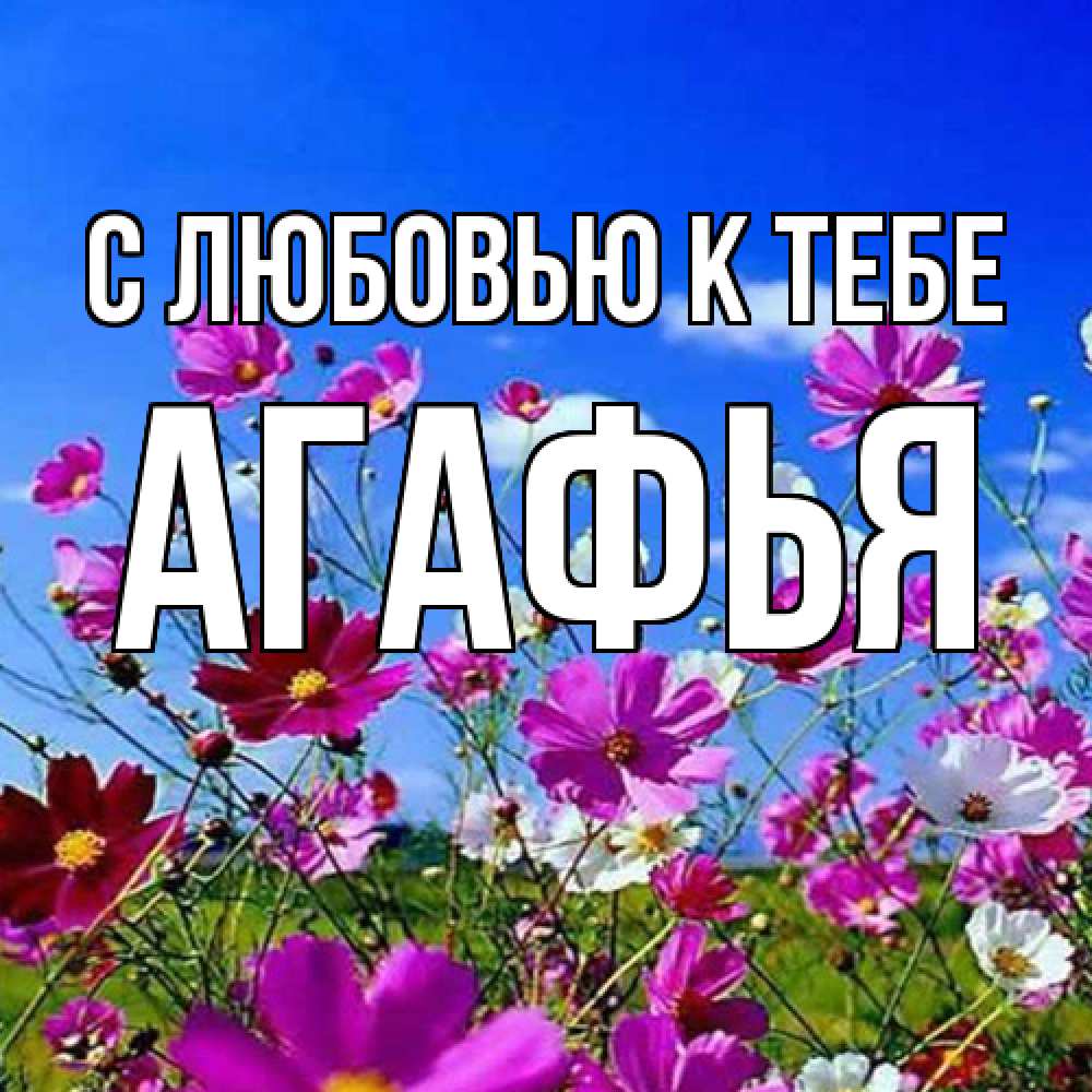 Открытка  с именем. Агафья, С любовью к тебе  