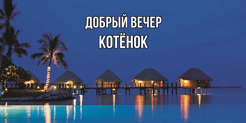 Открытка  с именем. Котёнок, Добрый вечер  