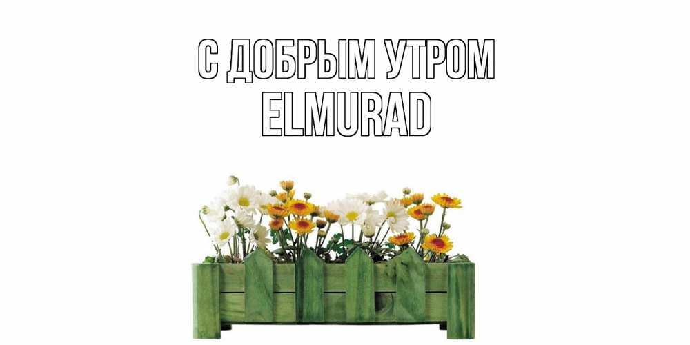 Открытка  с именем. Elmurad, С добрым утром  