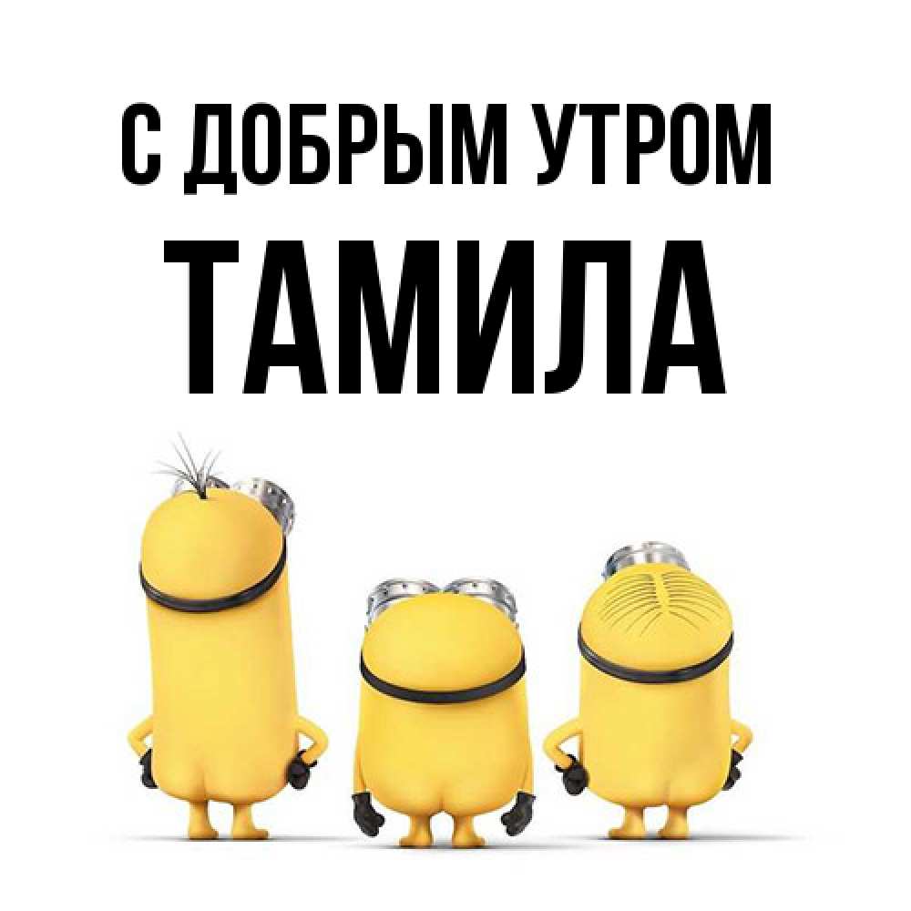 Открытка  с именем. Тамила, С добрым утром  