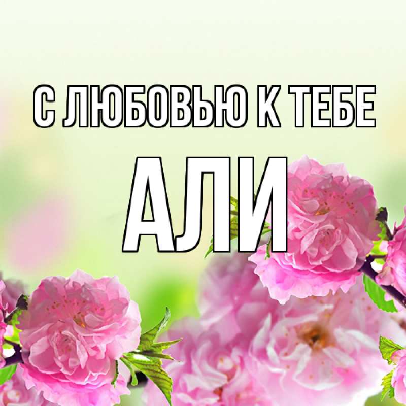 Картинка С любовью к тебе, Али