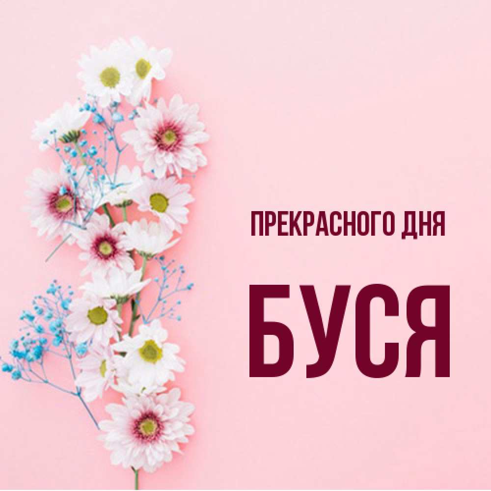 Открытка  с именем. Буся, Прекрасного дня  